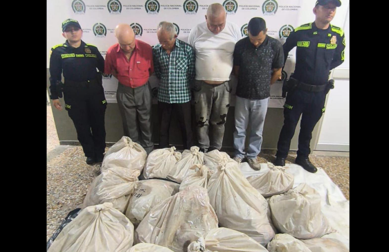 |Cundinamarca| reduce en un 80% los casos de abigeato gracias al trabajo conjunto de las autoridades