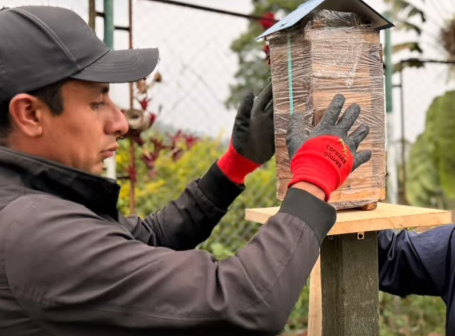 |Cundinamarca| instala 11 meliponarios para proteger a las |abejas| nativas sin aguijón