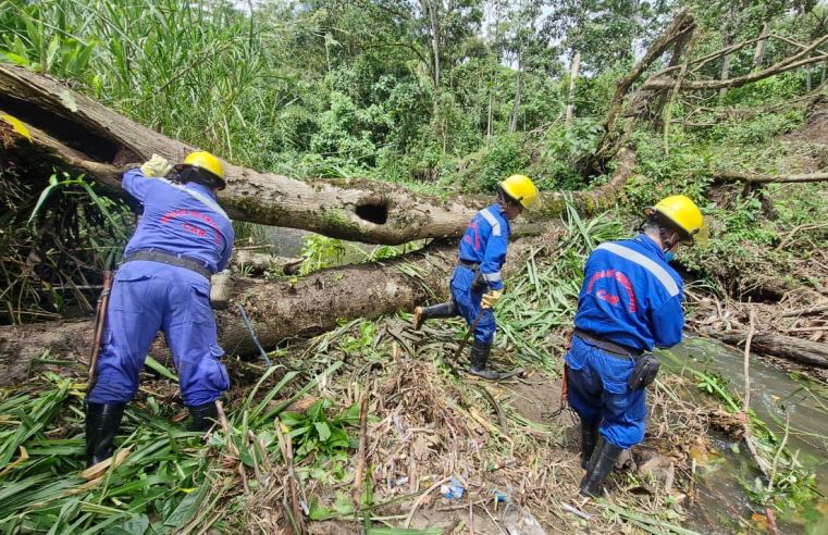 |Brigada Forestal| de la |CAR| interviene el río San Francisco para |mitigar riesgos|