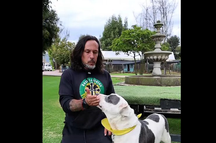 Un |Guerrero| que Busca |Amor| y |Tranquilidad| + Video