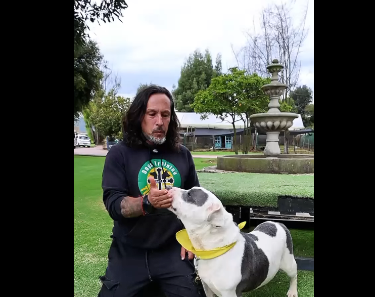 Un |Guerrero| que Busca |Amor| y |Tranquilidad| + Video