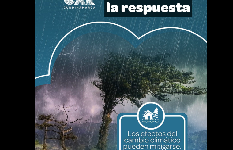 Recomendaciones para enfrentar la |temporada de lluvias|
