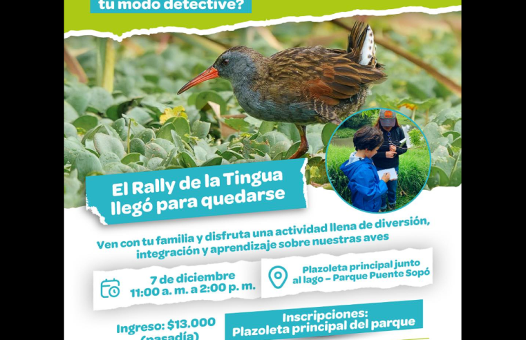 Puente |Sopó| Invita a una Jornada Familiar Dedicada a la |Tingua Bogotana|