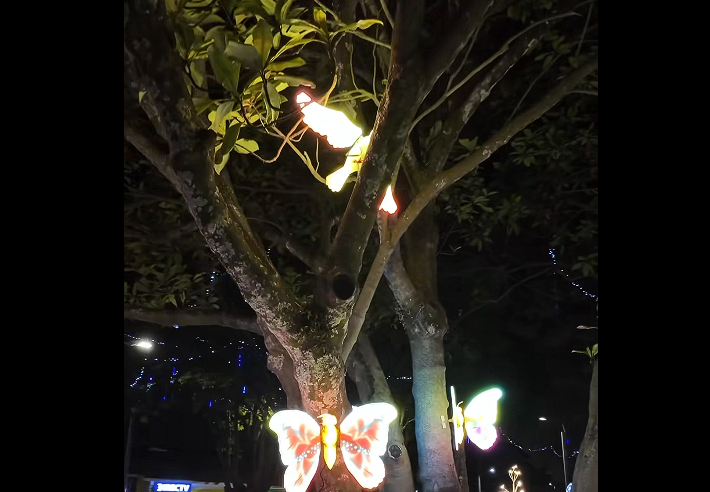 |Cajicá| invita a vivir el espíritu navideño y su oferta |gastronómica| + Video