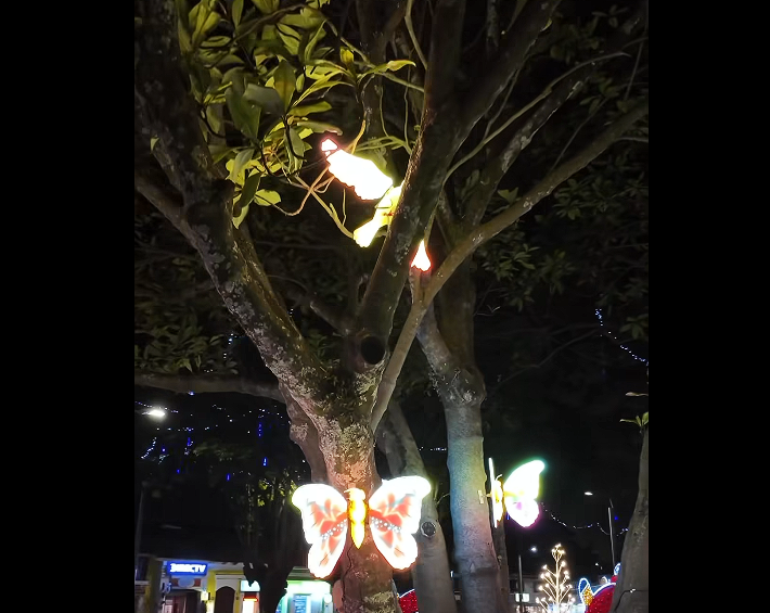 |Cajicá| invita a vivir el espíritu navideño y su oferta |gastronómica| + Video