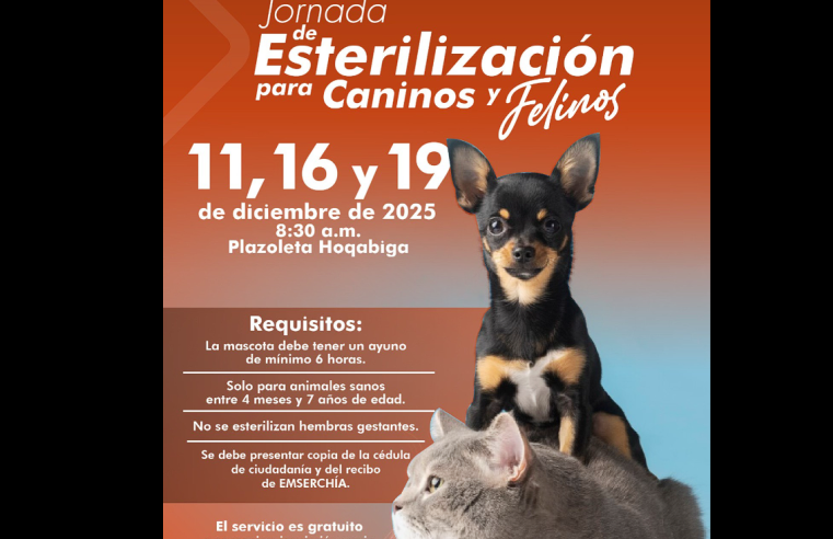 |Chía| realiza las últimas jornadas gratuitas de |esterilización| para |felinos| y |caninos| en 2025
