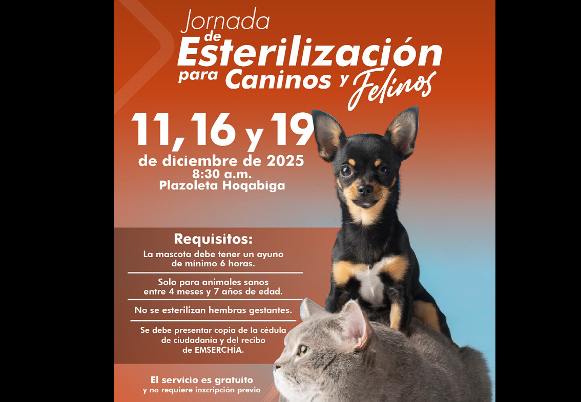 |Chía| realiza las últimas jornadas gratuitas de |esterilización| para |felinos| y |caninos| en 2025