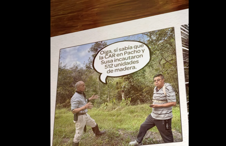 Autoridades |incautan| más de 500 unidades de madera por tala ilegal en |Pacho| y |Susa| + Video