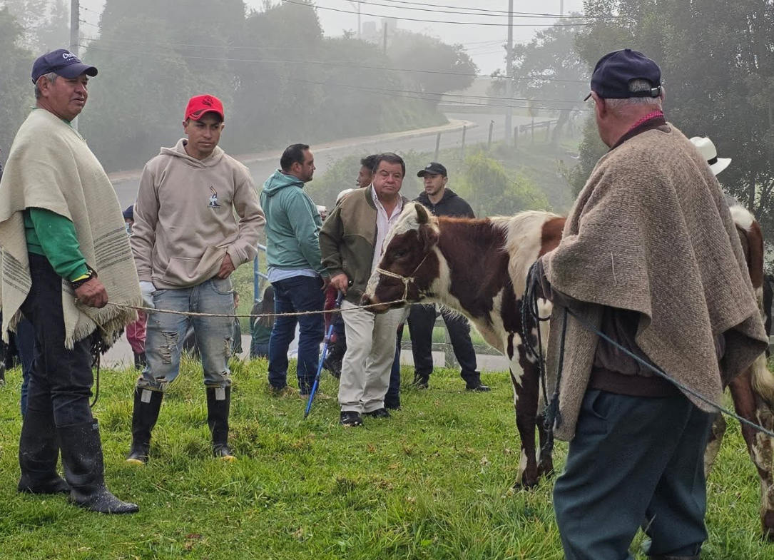 El último |mercado ganadero| de 2025 cerró el año junto al |campo|