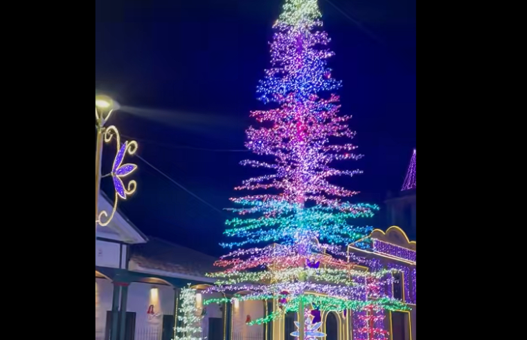El |alumbrado navideño| invita a compartir en familia y celebrar la unión + Video