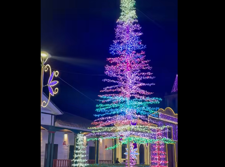El |alumbrado navideño| invita a compartir en familia y celebrar la unión + Video