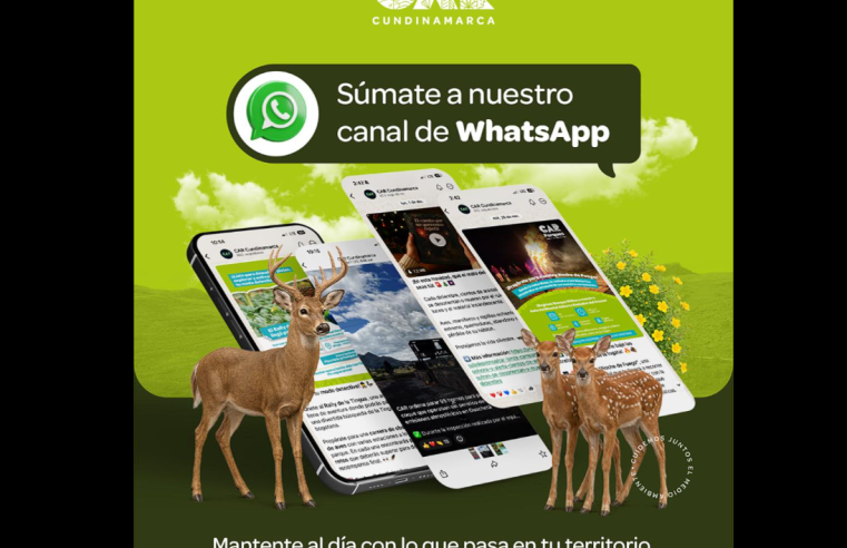 La información del territorio |CAR| ahora llega por |WhatsApp|