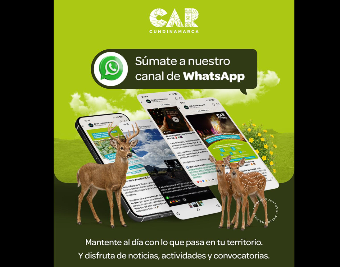 La información del territorio |CAR| ahora llega por |WhatsApp|