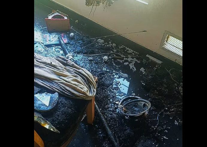 Autoridades recomiendan medidas de prevención para evitar |incendios| en hogares durante la |Navidad| + Video