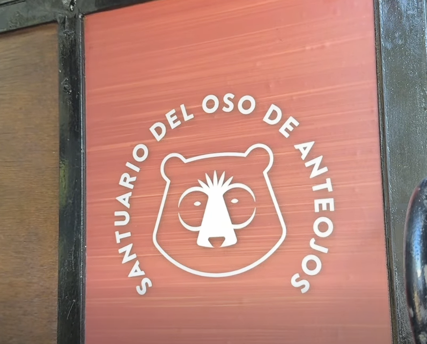 |Colombia| avanza en un hito histórico para la conservación del |oso andino|