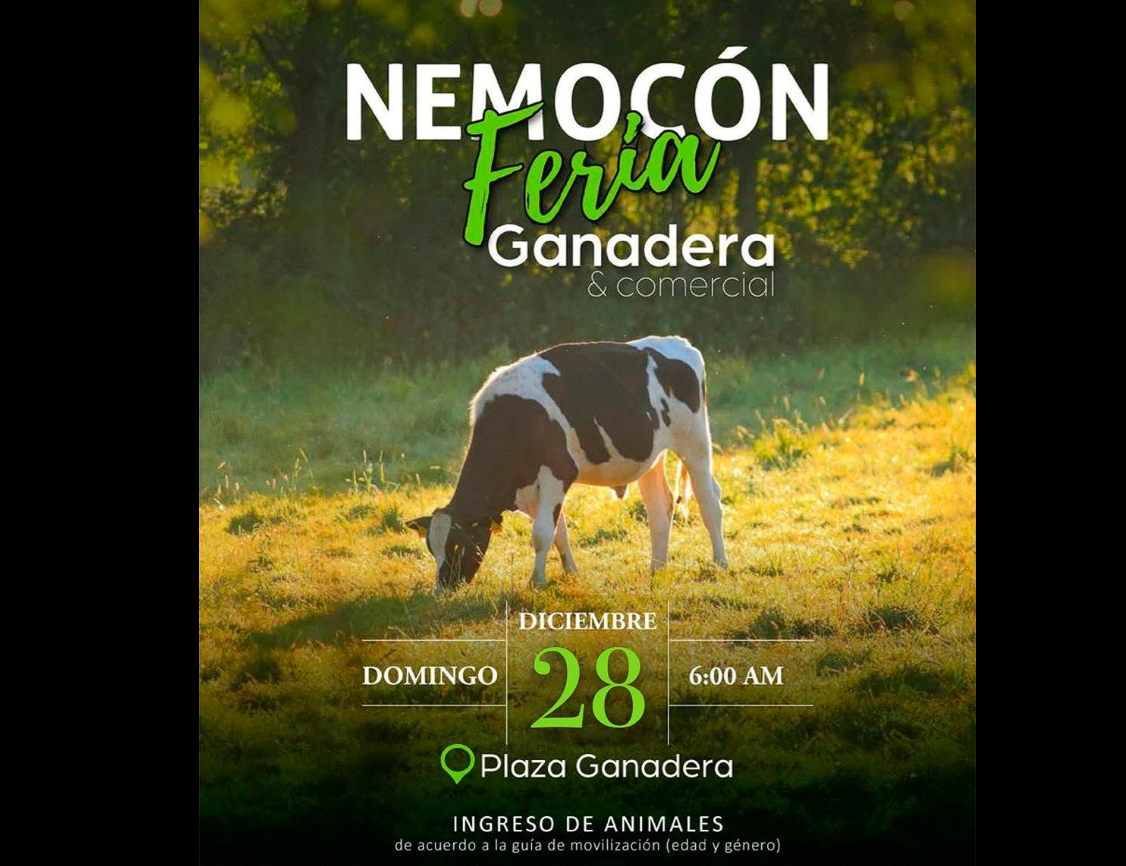 |Nemocón| invita a la |Feria Ganadera| y Comercial para fortalecer la |economía local|