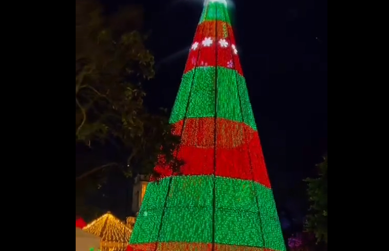|Tabio| invita a disfrutar la magia del alumbrado navideño en |Cundinamarca| + Video