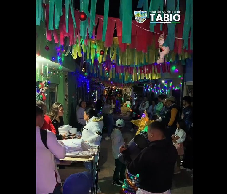 Barrio Centro Santa Bárbara, sector Los Ferchos, ganó el concurso de la |cuadra navideña| + Video
