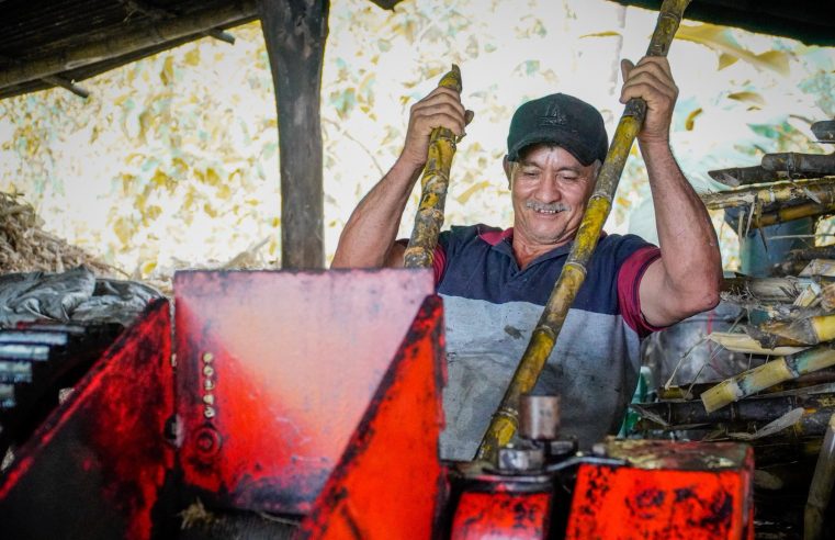 |Nocaima| fortalece su |tradición panelera| con inversión para el |desarrollo rural|