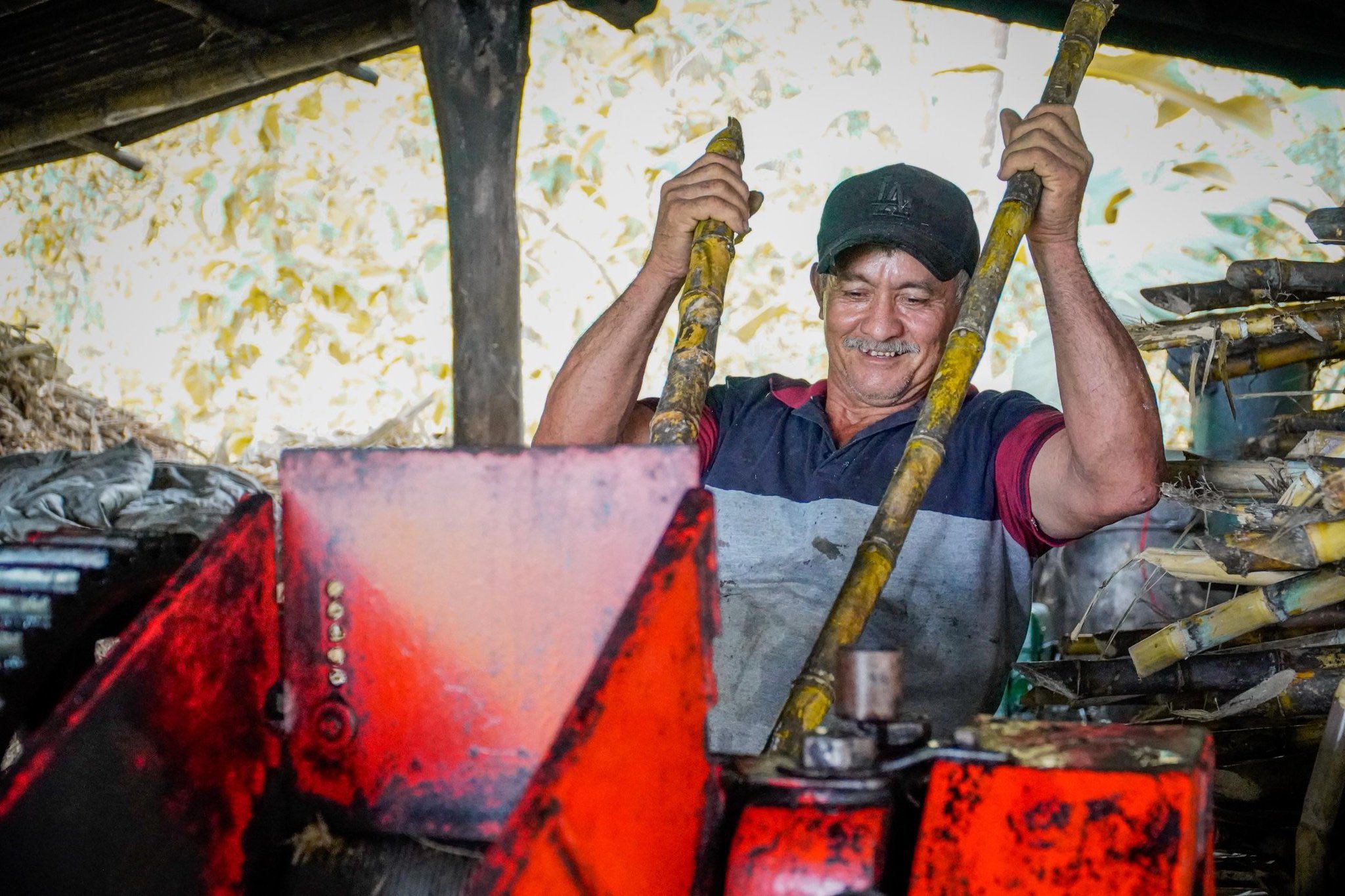 |Nocaima| fortalece su |tradición panelera| con inversión para el |desarrollo rural|