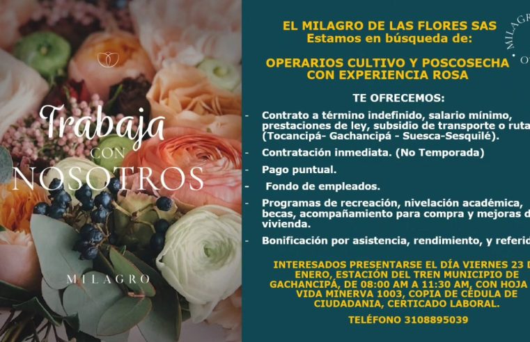 |Convocatoria laboral| abre nuevas oportunidades en |Gachancipá|