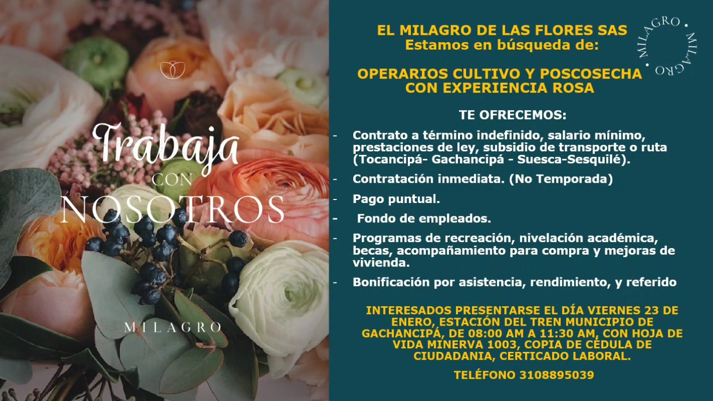 |Convocatoria laboral| abre nuevas oportunidades en |Gachancipá|