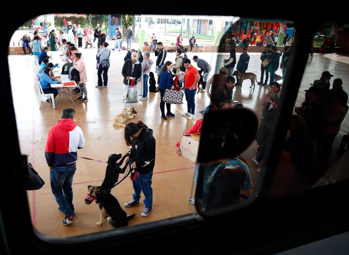 Más de 500 esterilizaciones fortalecen el |bienestar animal| durante el año