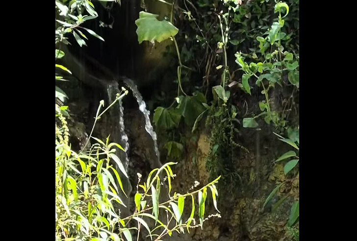 Recorridos preventivos en |fuentes hídricas| y |vallados| del municipio de |Cajicá| + Video