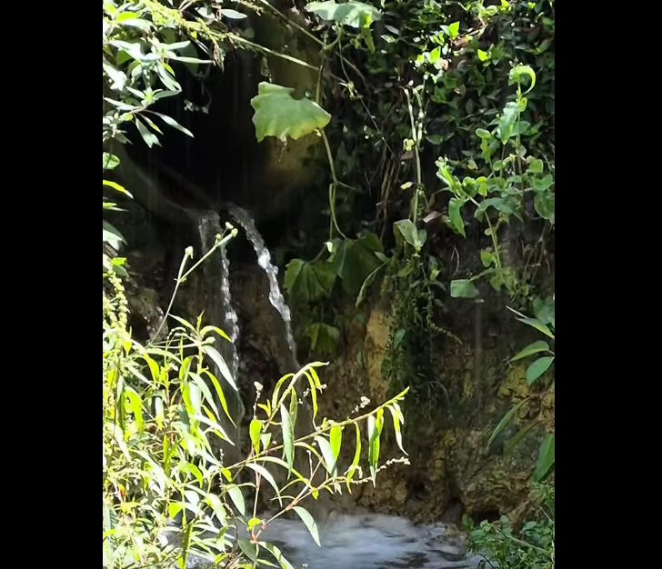 Recorridos preventivos en |fuentes hídricas| y |vallados| del municipio de |Cajicá| + Video