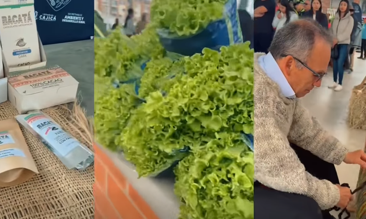 Plaza Campesina  en |Cajicá| abre sus puertas para apoyar a los |productores locales| + Video