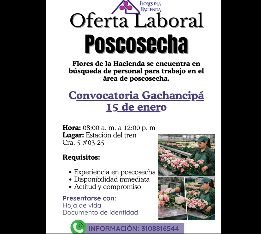Gran |convocatoria laboral| para el sector floricultor en |Gachancipá|