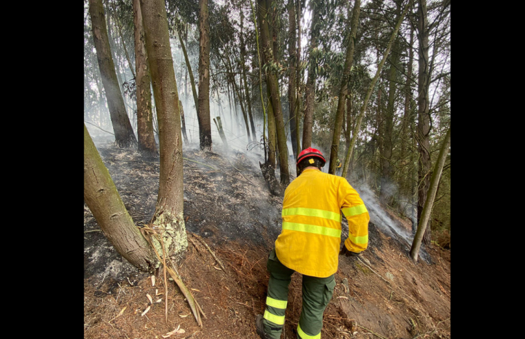 Controlado incendio de cobertura vegetal en el sector |Lourdes| en el municipio de |Chía|
