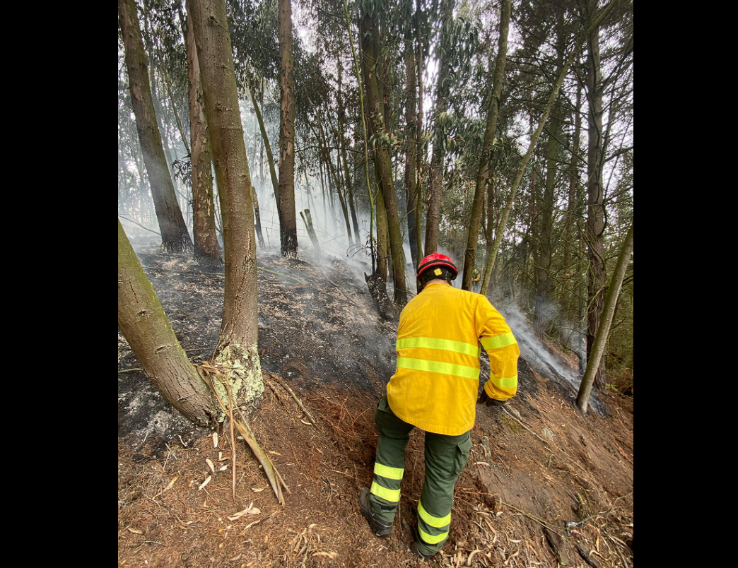 Controlado incendio de cobertura vegetal en el sector |Lourdes| en el municipio de |Chía|