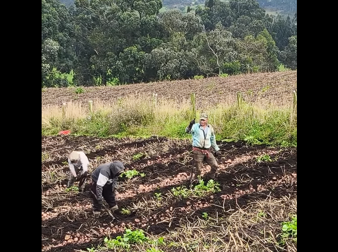 Acuerdo histórico impulsa el |desarrollo integral| de |Zipaquirá| + Video