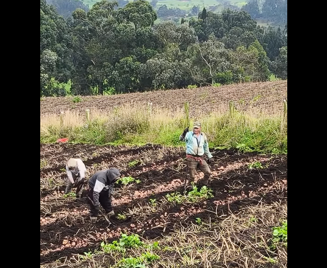 Acuerdo histórico impulsa el |desarrollo integral| de |Zipaquirá| + Video
