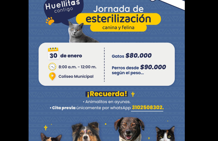 |Sopó| promueve la tenencia responsable con jornada de |esterilización|