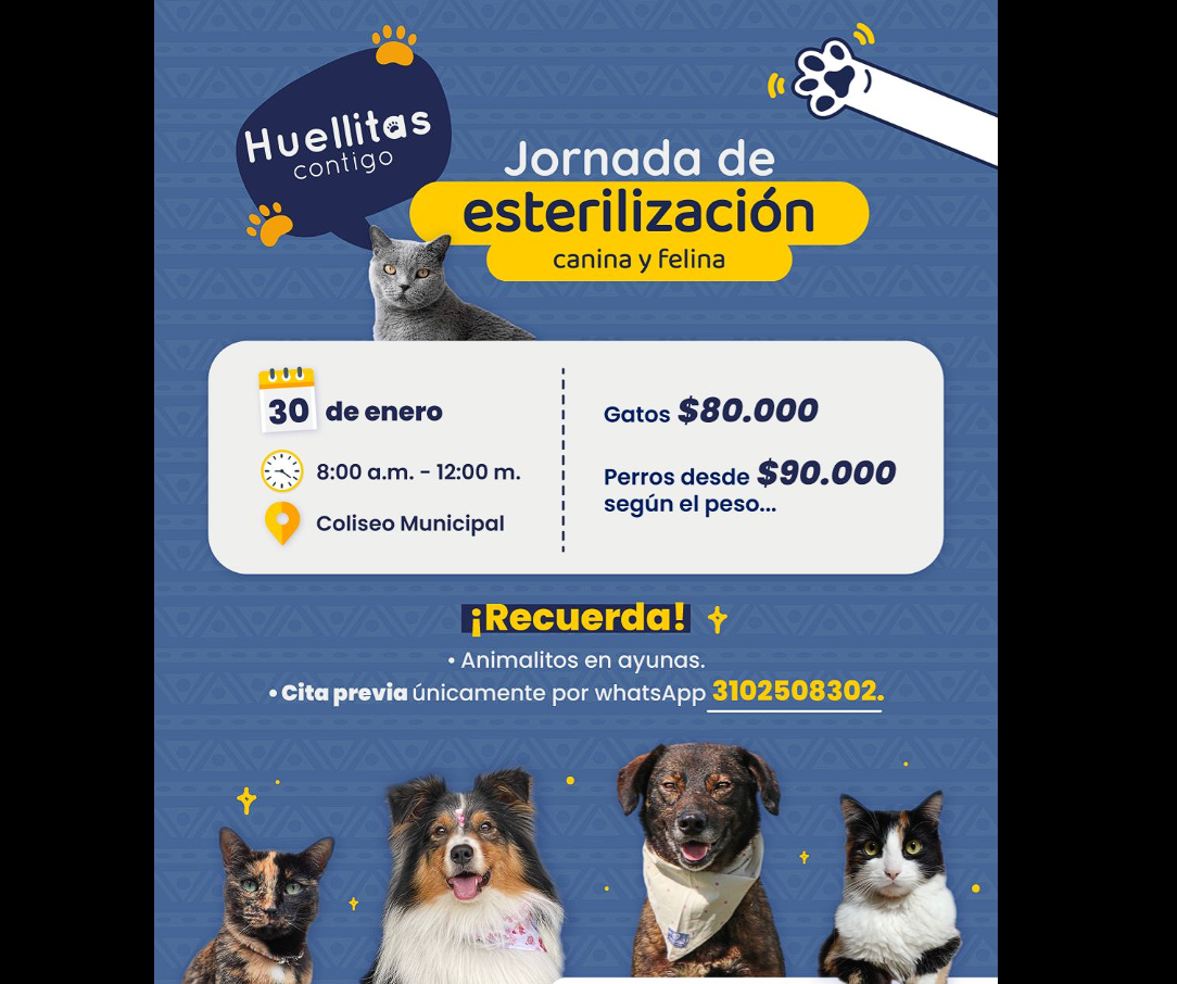 |Sopó| promueve la tenencia responsable con jornada de |esterilización|