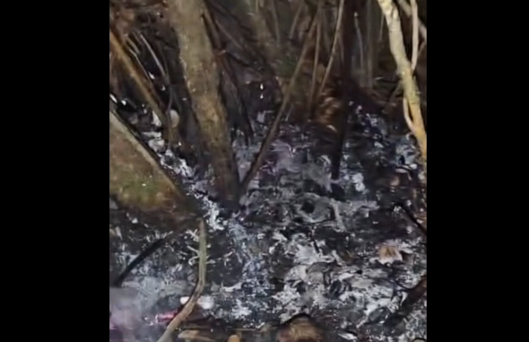 Oportuna alerta permitió controlar conato de |incendio| en el sector Manas Altas de |Sopó| + Video