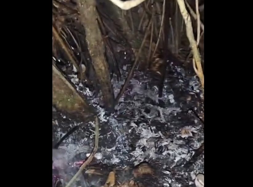 Oportuna alerta permitió controlar conato de |incendio| en el sector Manas Altas de |Sopó| + Video