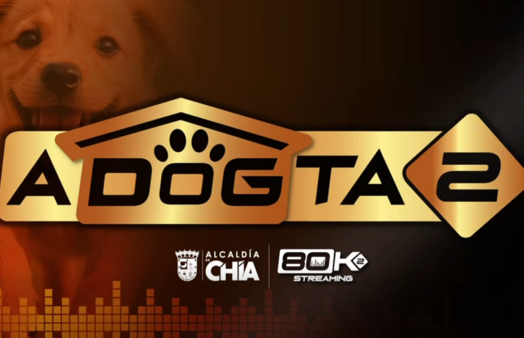 Kala encuentra un hogar lleno de amor tras superar una historia de |maltrato| + Video