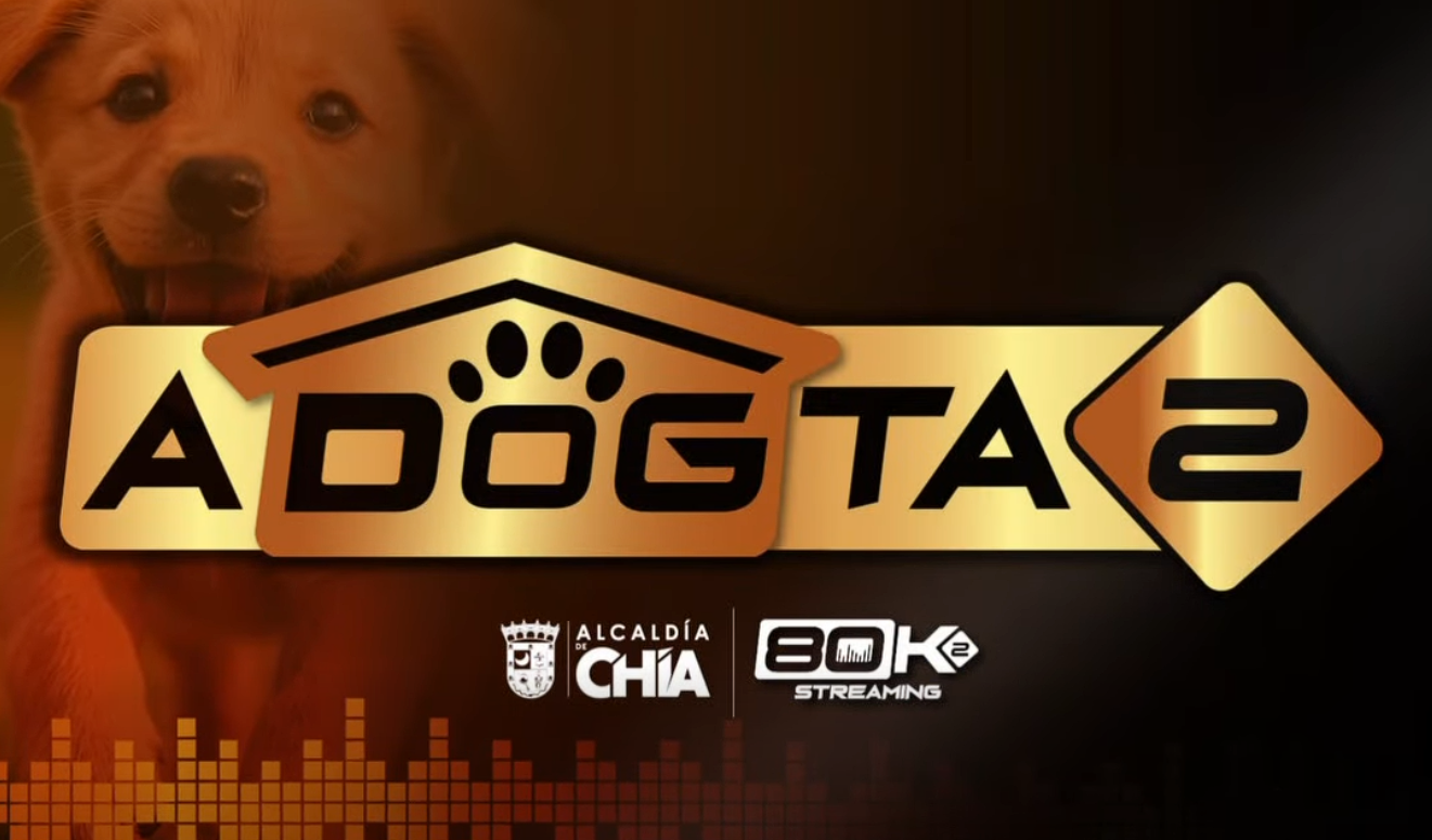 Kala encuentra un hogar lleno de amor tras superar una historia de |maltrato| + Video