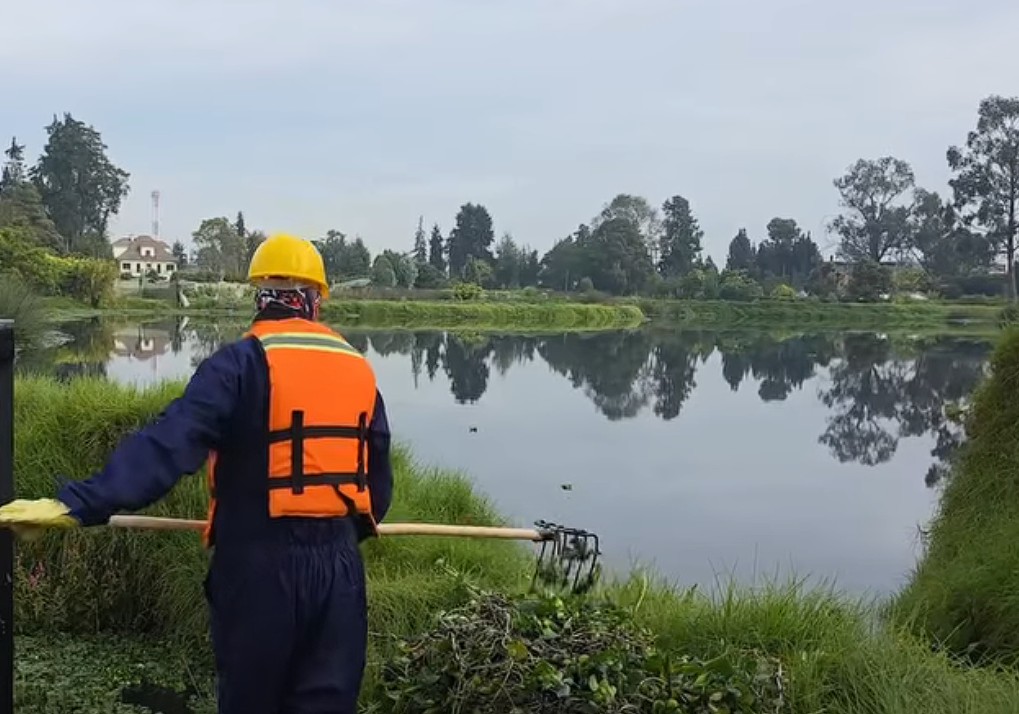 Nuevo vivero fortalecerá la restauración del |humedal Gualí| en el |Día Mundial| de los |Humedales| + Video