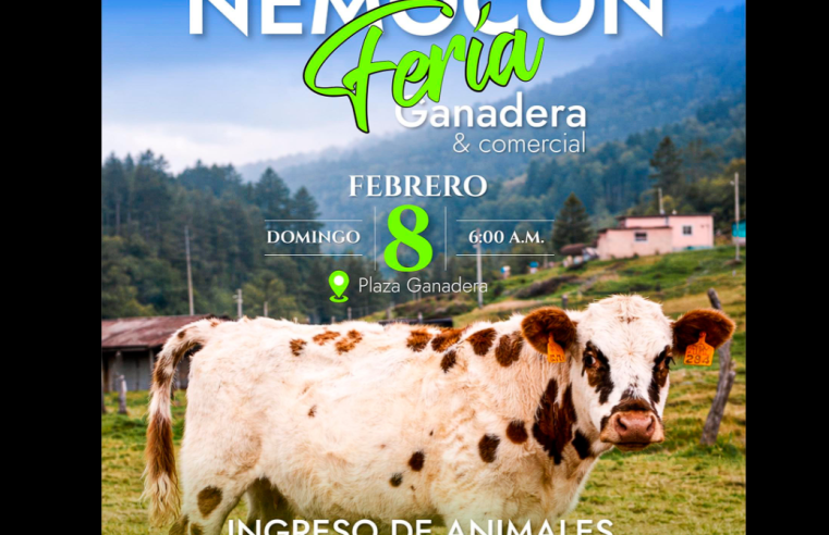 |Nemocón| realizará |Feria Comercial|, Ganadera, Bovina y Ovina