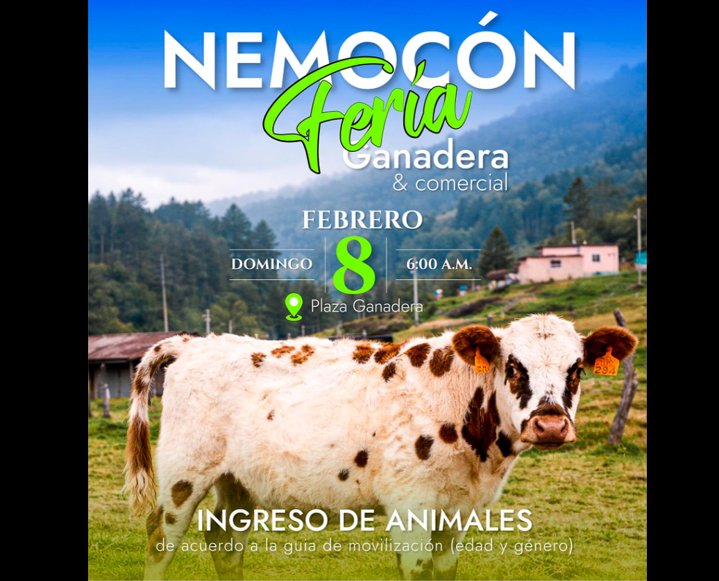 |Nemocón| realizará |Feria Comercial|, Ganadera, Bovina y Ovina