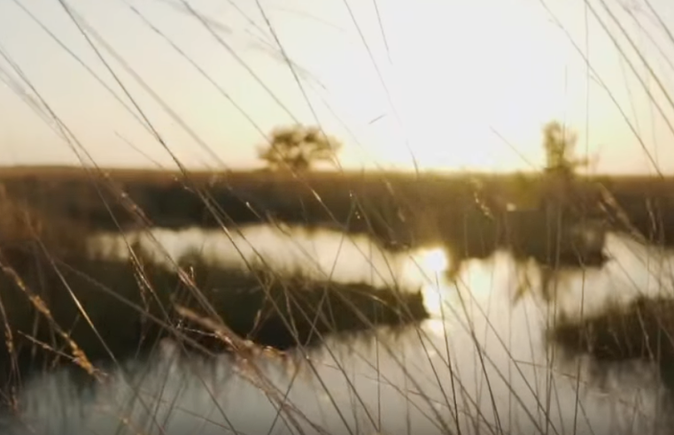 |Cundinamarca| fortalece acciones para enfrentar el |cambio climático| + Video