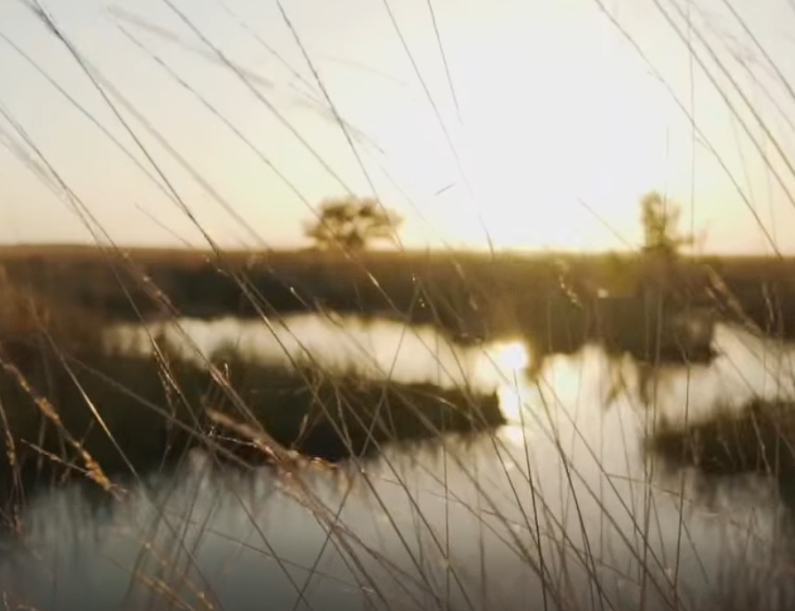 |Cundinamarca| fortalece acciones para enfrentar el |cambio climático| + Video