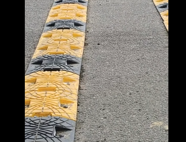 La vida es la prioridad en las vías + Video