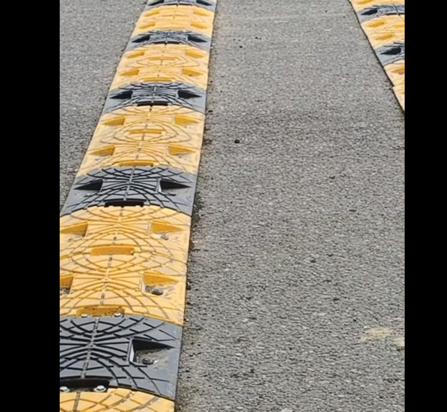 La vida es la prioridad en las vías + Video