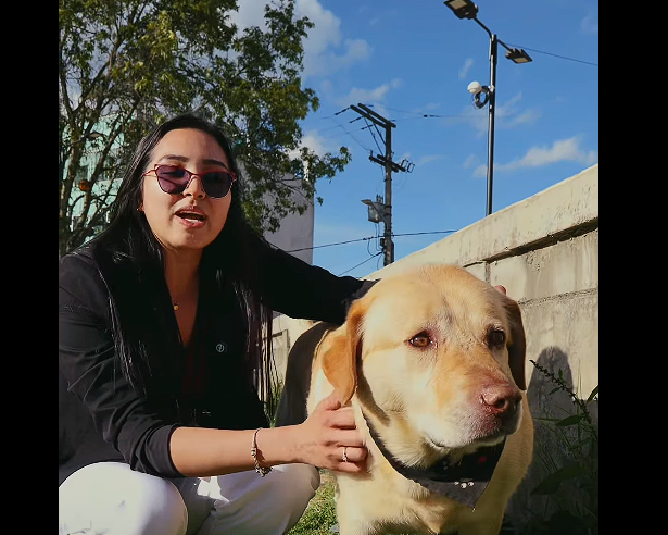 |Gachancipá| promueve campaña de tenencia responsable de |mascotas| + Video