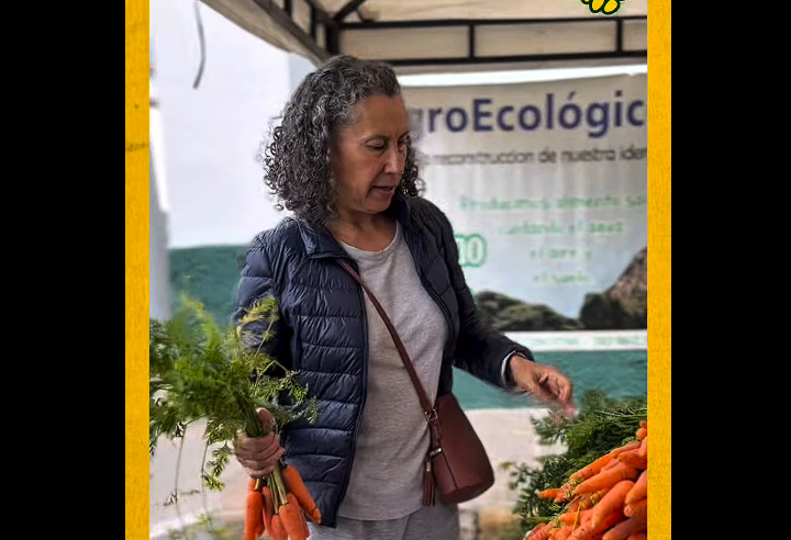 Los |mercados campesinos| dinamizan la |economía| y fortalecen la identidad local los fines de semana + Video